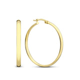 Noa Gold Earrings