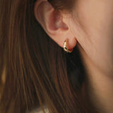 Luxury Gold Silver Earrings