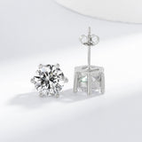 Tera earrings